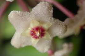 Name:  erik-1.jpg
Views: 958
Size:  4.9 KB