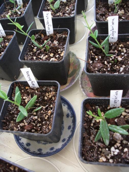 Name:  DSCF5072.jpg
Views: 822
Size:  70.5 KB