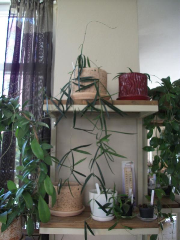 Name:  DSCF5554.jpg
Views: 808
Size:  55.0 KB
