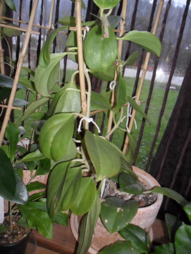 Name:  06-SAM_0038.jpg
Views: 842
Size:  71.6 KB