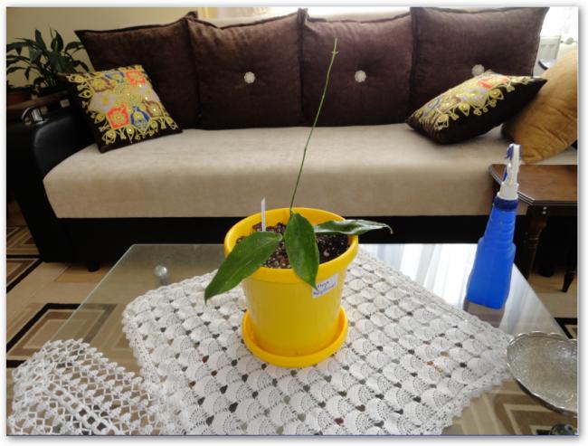 Name:  sshot-23.jpg
Views: 801
Size:  50.4 KB
