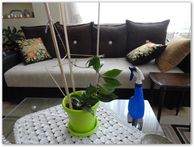 Name:  sshot-38.jpg
Views: 439
Size:  46.1 KB