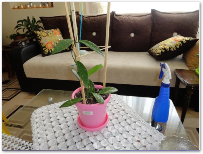 Name:  sshot-41.jpg
Views: 797
Size:  48.9 KB