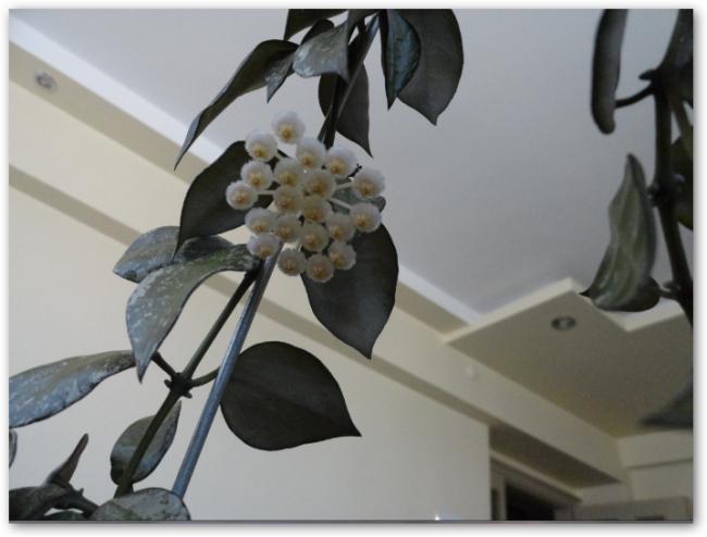 Name:  sshot-1.jpg
Views: 690
Size:  31.9 KB