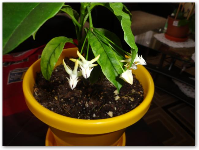 Name:  sshot-8.jpg
Views: 629
Size:  39.4 KB