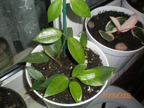 Name:  100_0001.jpg
Views: 943
Size:  44.1 KB