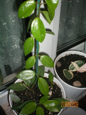 Name:  100_0002.jpg
Views: 922
Size:  69.7 KB