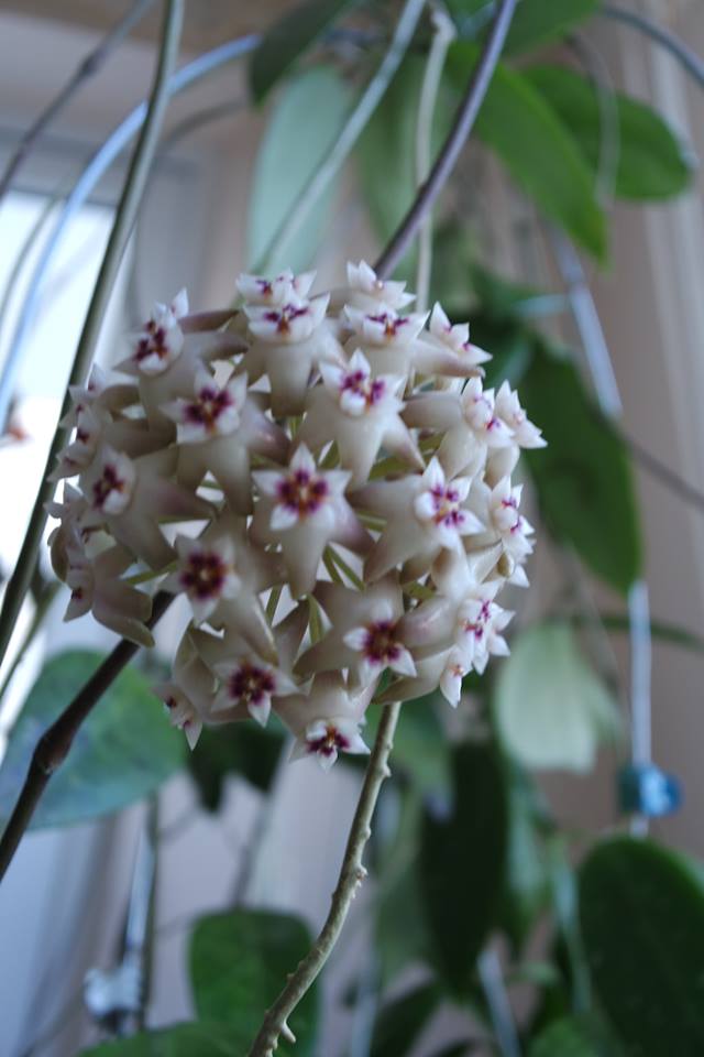 Name:  3011.jpg
Views: 1278
Size:  54.7 KB