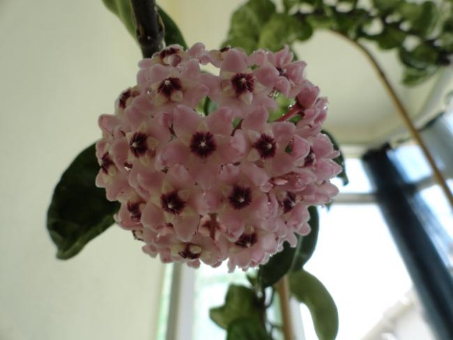 Name:  DSC02573.jpg
Views: 736
Size:  30.8 KB