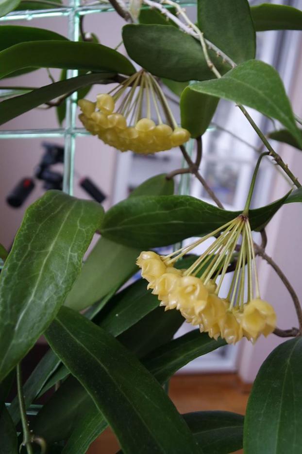 Name:  blasher.jpg
Views: 682
Size:  62.3 KB