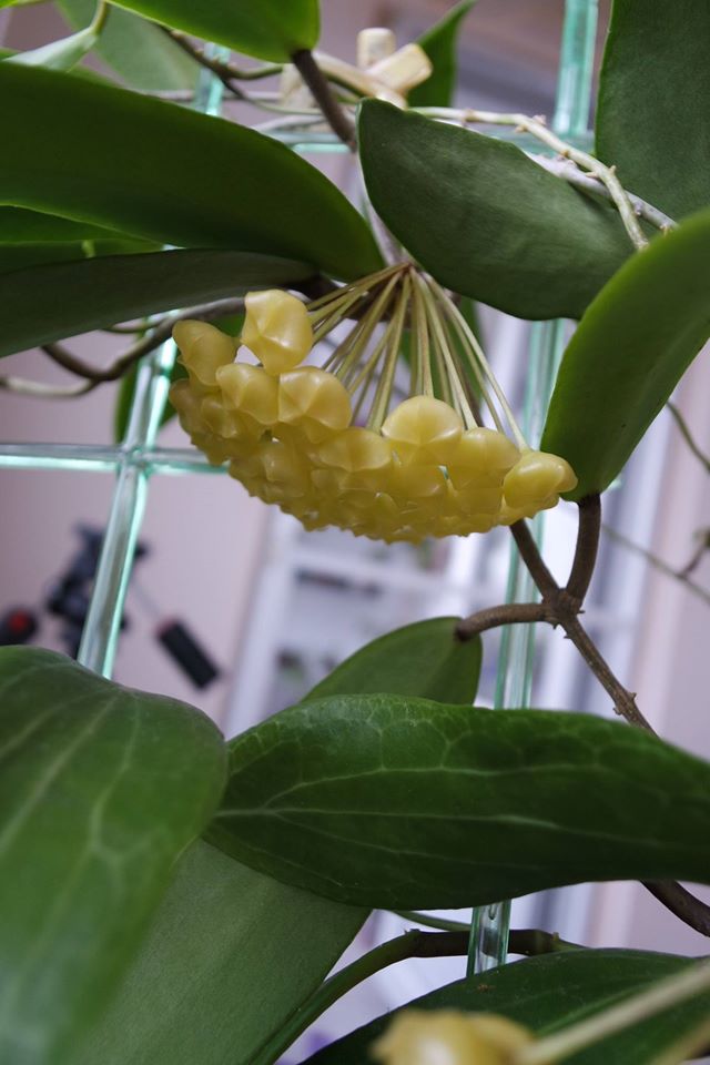 Name:  blasher1.jpg
Views: 733
Size:  66.4 KB