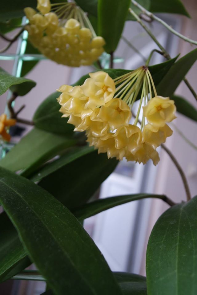 Name:  blasher2.jpg
Views: 717
Size:  59.5 KB