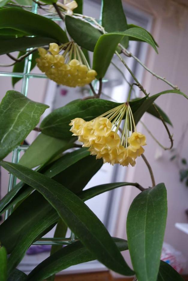 Name:  blasher3.jpg
Views: 698
Size:  61.9 KB