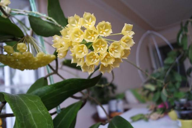 Name:  blasher4.jpg
Views: 684
Size:  33.5 KB