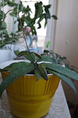 Name:  ut-001.jpg
Views: 602
Size:  19.3 KB