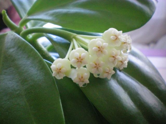 Name:  100_0022.jpg
Views: 426
Size:  32.9 KB