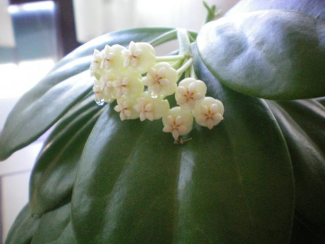 Name:  100_0023.jpg
Views: 411
Size:  31.7 KB