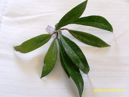 Name:  pubrb.jpg
Views: 312
Size:  67.8 KB