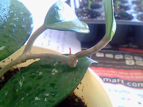 Name:  picture_03.jpg
Views: 269
Size:  44.7 KB