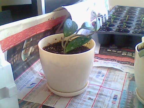 Name:  picture_04.jpg
Views: 298
Size:  51.4 KB