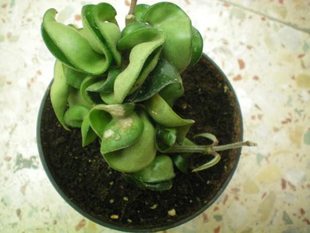 Name:  100_0016.jpg
Views: 690
Size:  38.7 KB