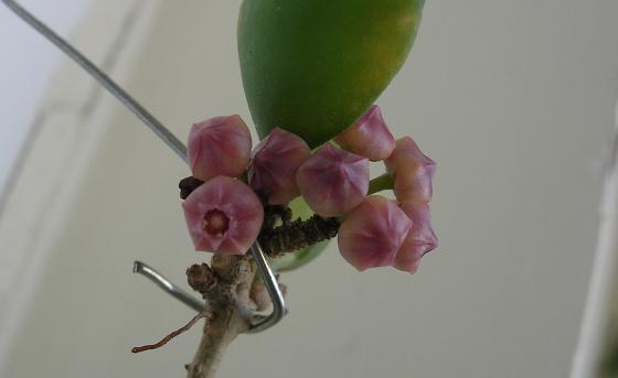 Name:  aattaa.JPG
Views: 1135
Size:  13.2 KB