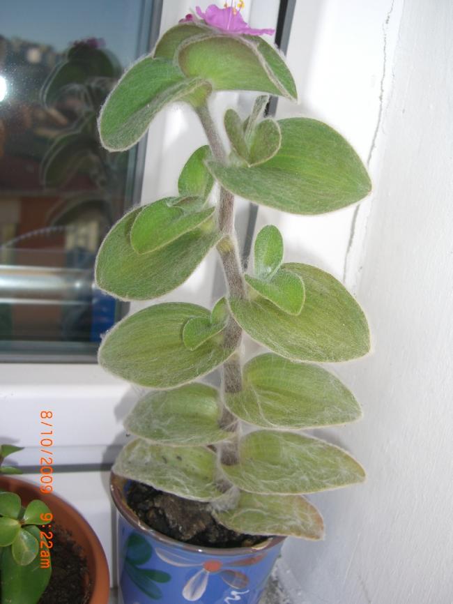 Name:  05.jpg
Views: 1259
Size:  59.2 KB
