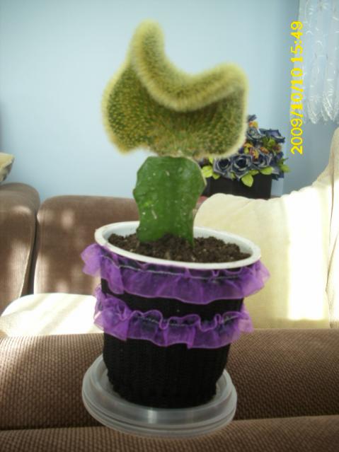 Name:  DSCI0013.jpg
Views: 729
Size:  34.5 KB
