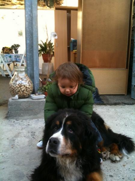 Name:  IMG_0692.jpg
Views: 1736
Size:  37.3 KB