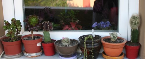 Name:  biz 063.jpg
Views: 1642
Size:  33.4 KB