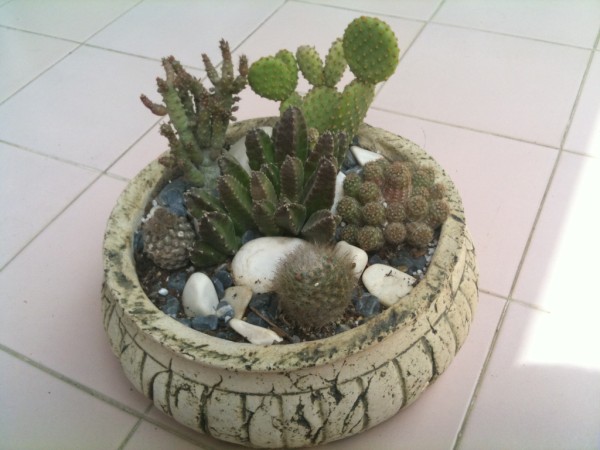 Name:  2.jpg
Views: 1928
Size:  58.2 KB