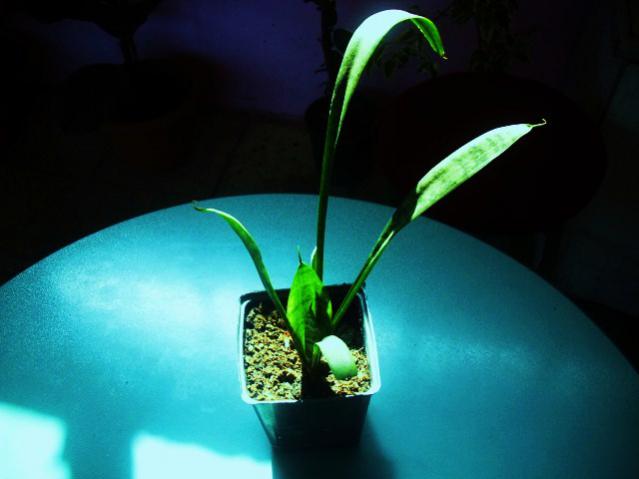 Name:  DSCI1012.jpg
Views: 2855
Size:  27.1 KB