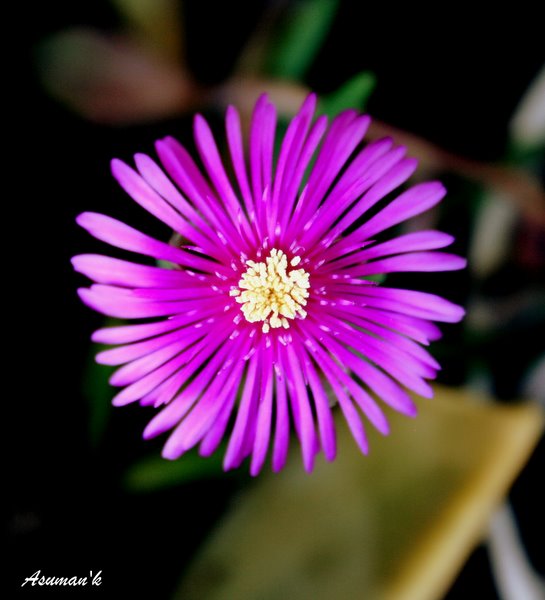 Name:  3.jpg
Views: 908
Size:  61.5 KB