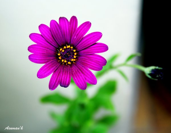 Name:  5.jpg
Views: 880
Size:  47.5 KB