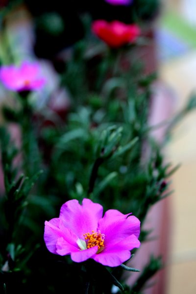 Name:  YENNN 026.jpg
Views: 601
Size:  45.1 KB