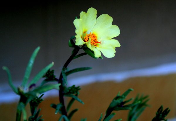 Name:  YENNN 027.jpg
Views: 604
Size:  40.1 KB