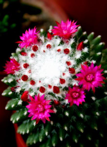 Name:  tutulma gn. ) 004.jpg
Views: 991
Size:  39.1 KB