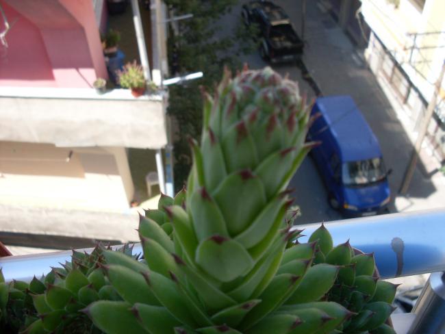 Name:  SDC10980.jpg
Views: 517
Size:  36.5 KB