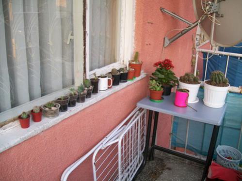 Name:  100_1701.jpg
Views: 2386
Size:  30.2 KB