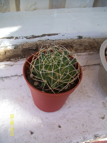 Name:  100_2215.JPG
Views: 751
Size:  60.8 KB