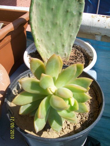 Name:  100_2228.JPG
Views: 978
Size:  69.9 KB
