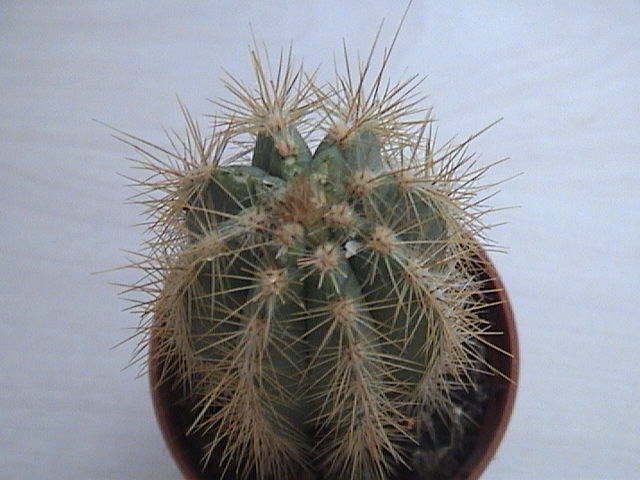 Name:  112.JPG
Views: 1152
Size:  62.1 KB