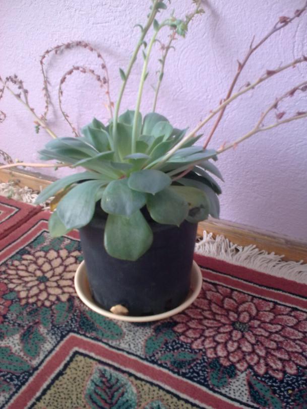 Name:  06092010.jpg
Views: 915
Size:  72.2 KB