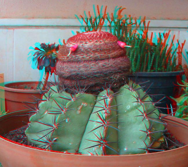 Name:  melo3D.jpg
Views: 1587
Size:  63.2 KB