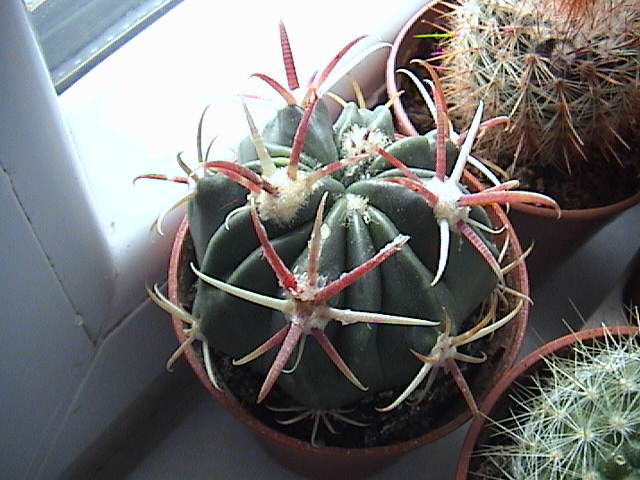 Name:  DSC00017.JPG
Views: 896
Size:  60.5 KB