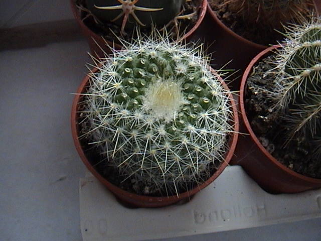 Name:  DSC00012.JPG
Views: 921
Size:  61.9 KB