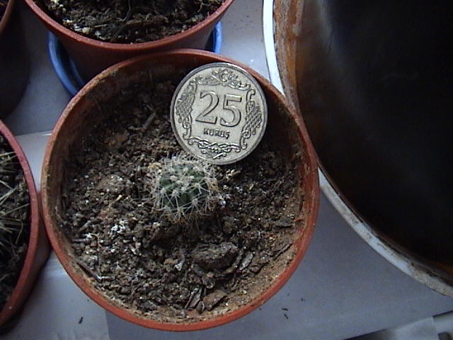 Name:  DSC00014.JPG
Views: 1045
Size:  61.0 KB