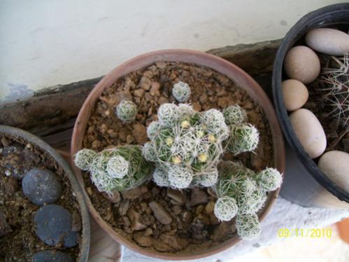 Name:  100_2301.jpg
Views: 835
Size:  33.2 KB