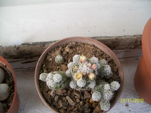 Name:  at.jpg
Views: 749
Size:  57.5 KB