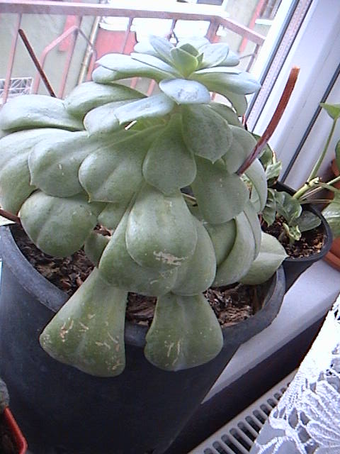 Name:  jhghjmk.JPG
Views: 629
Size:  58.6 KB
